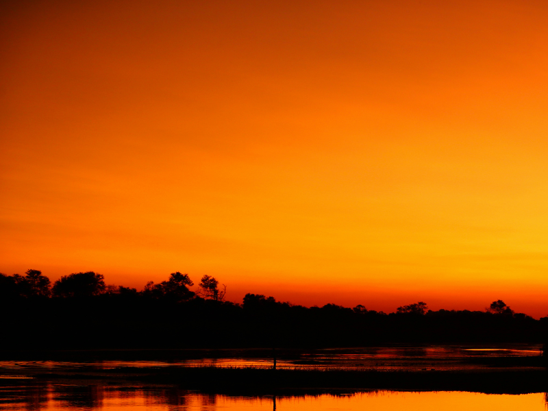 Canva pro image - nature