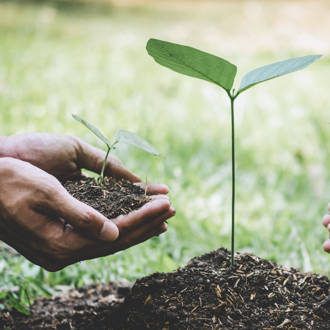 Investing for impact report