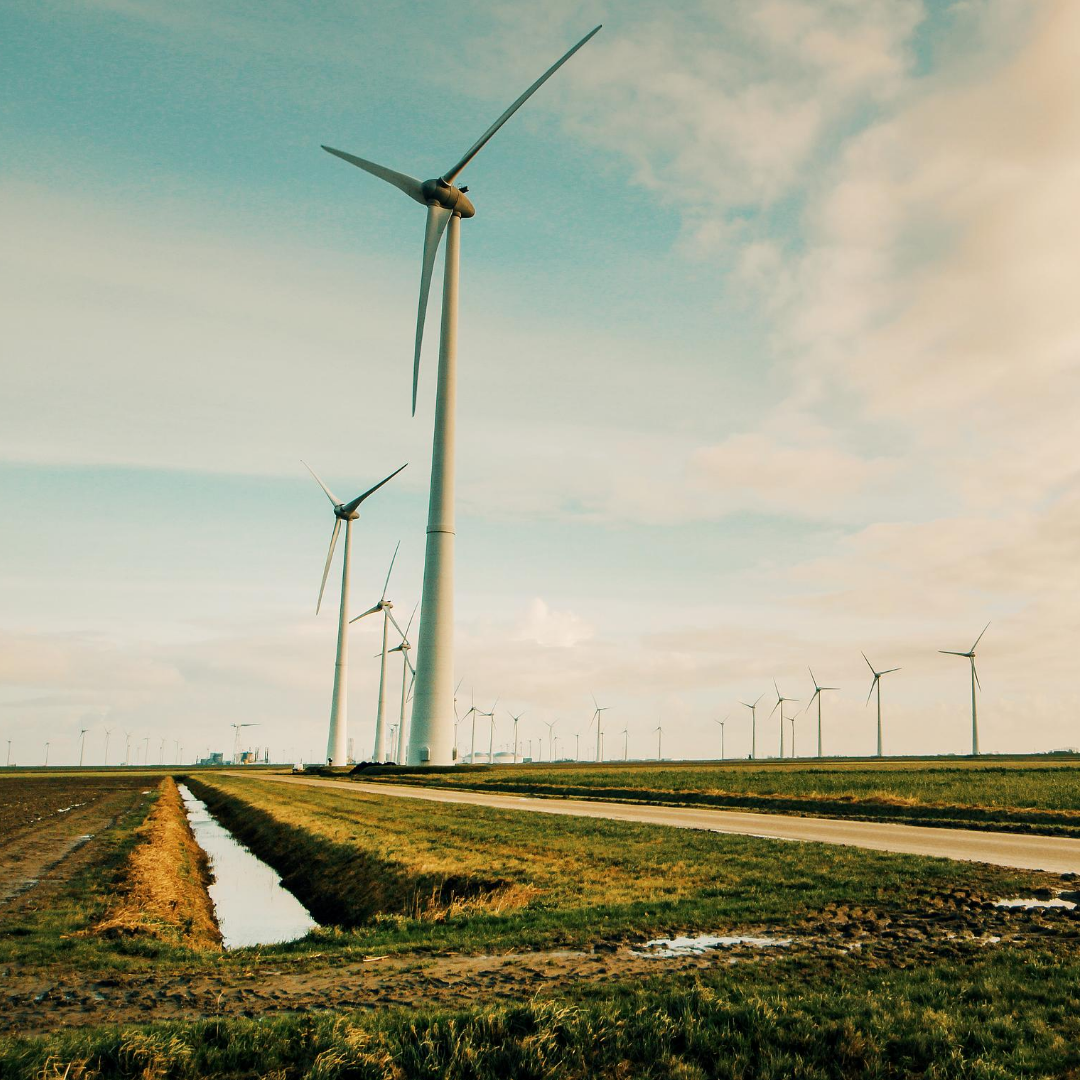 Investing for Impact