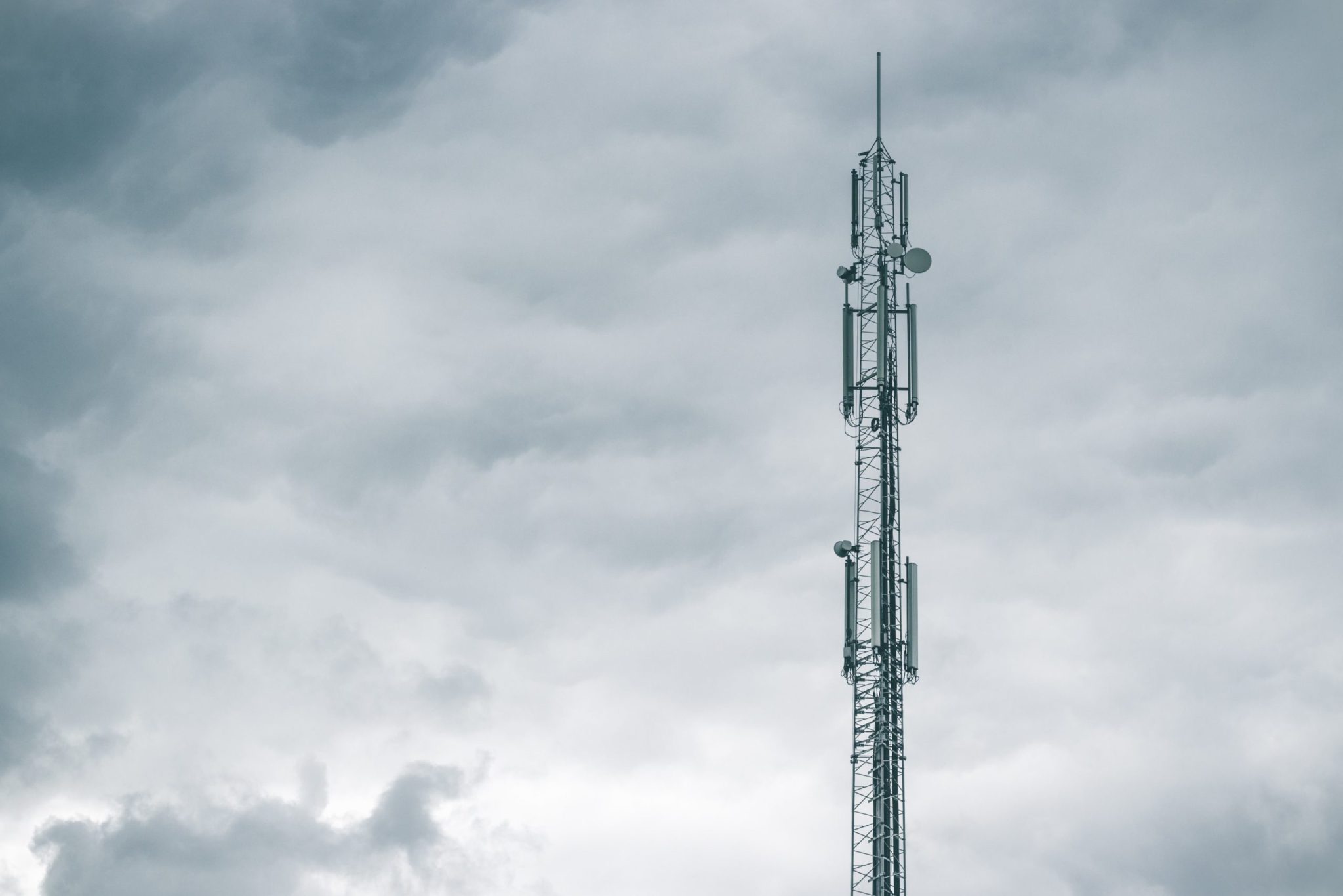 echo-grid-b5R9DkAkGTM-unsplash