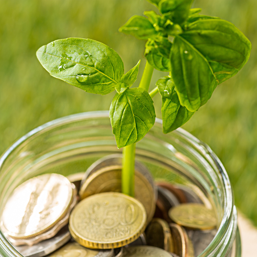 Pension funds, private equity and