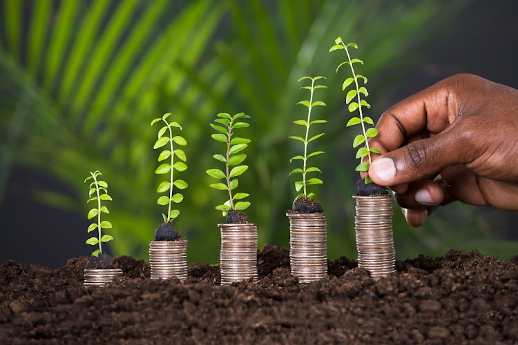 Person's Hand Holding Small Plant On Stacked Coins